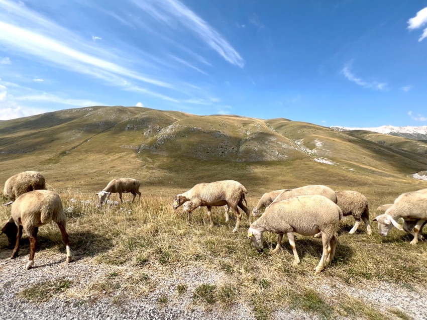 campo imperatore abruzzo