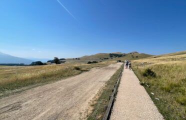 blog-grid-1-410x308